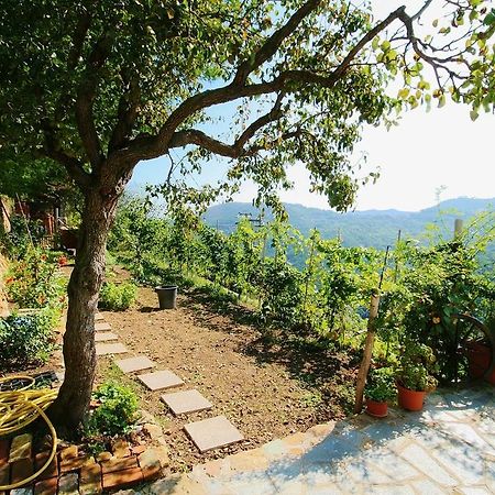 Agriturismo Costamagna Noli Kültér fotó