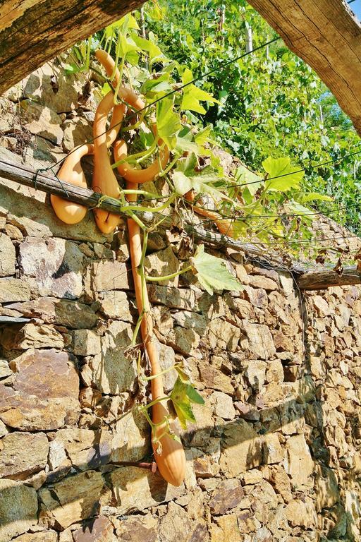 Agriturismo Costamagna Noli Kültér fotó