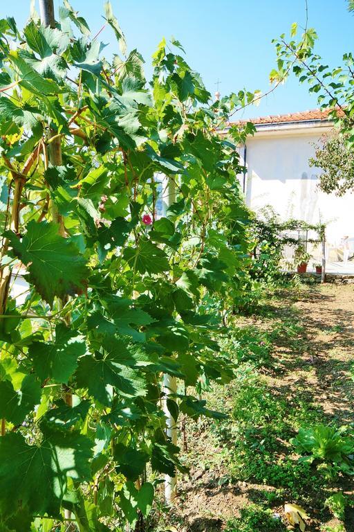 Agriturismo Costamagna Noli Kültér fotó
